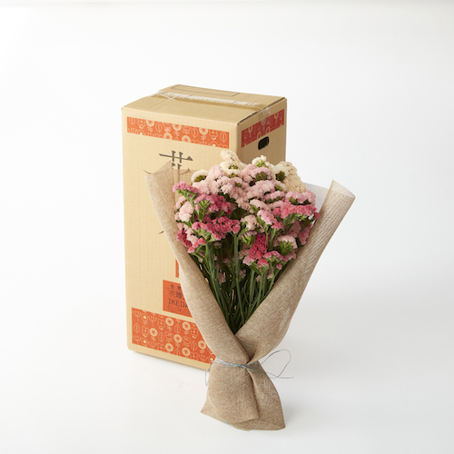 スターチスシヌアータ(ニュアンスカラー) 