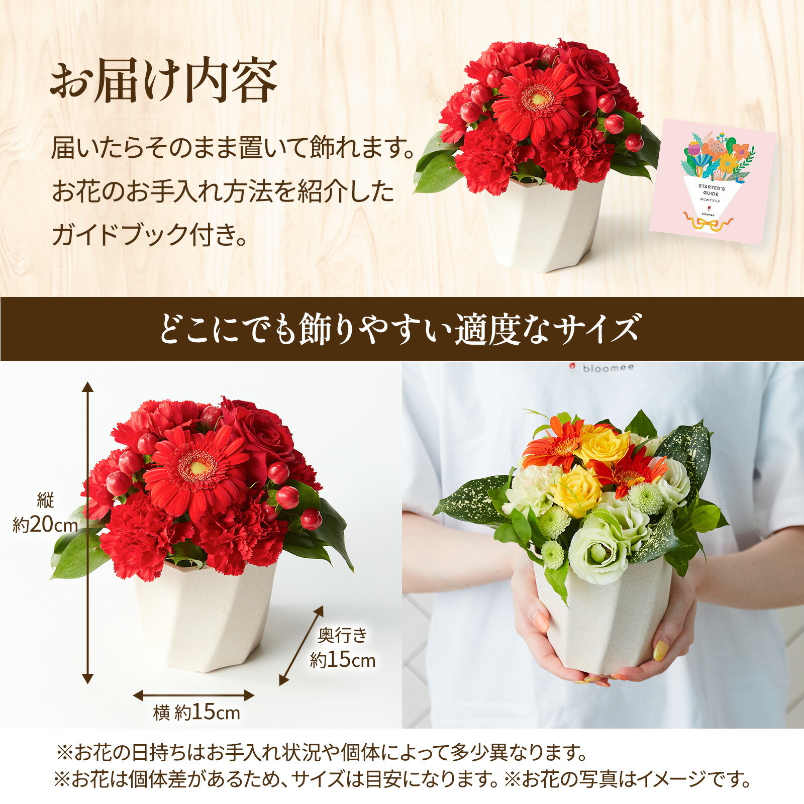 アレンジメント(赤)Sサイズ　Gift for youカード付き