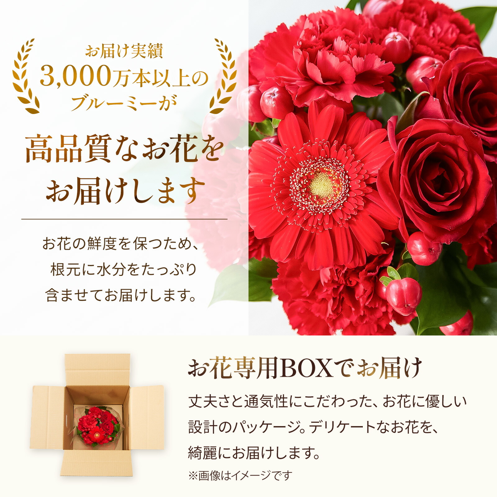 アレンジメント(赤)Sサイズ　Gift for youカード付き