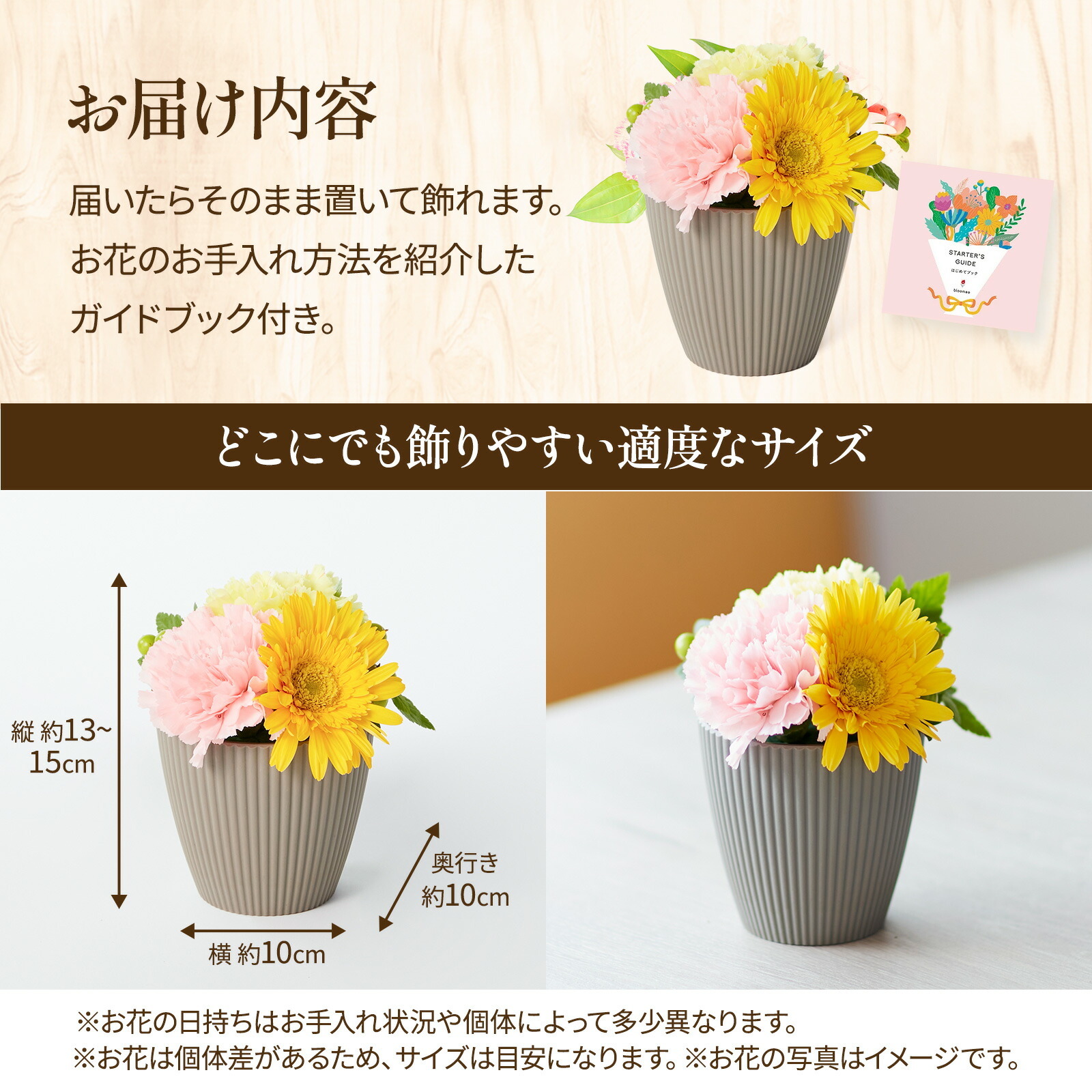 アレンジメント(カラフル)XSサイズ　Gift for youカード付き