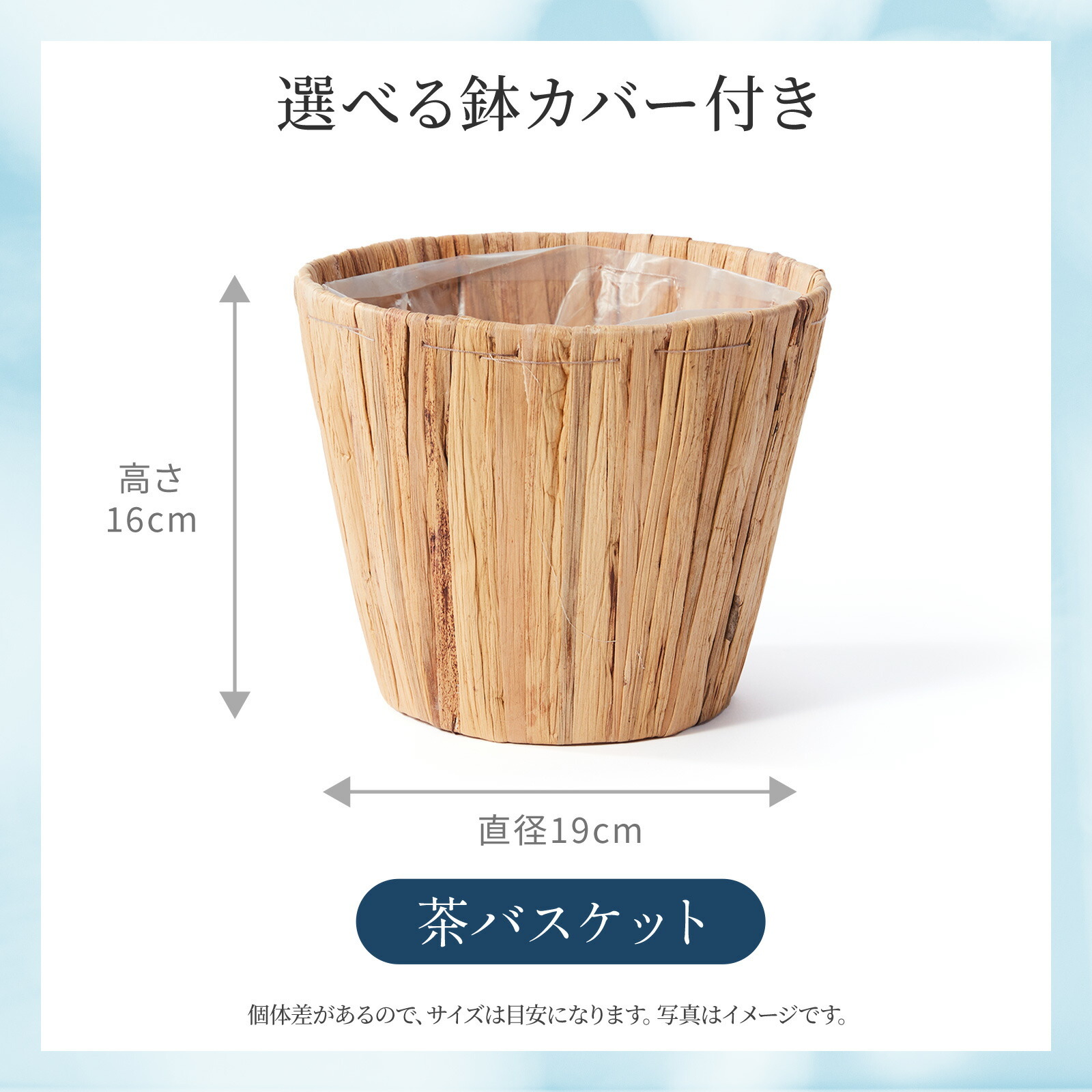 ウンベラータ5号 茶バスケット