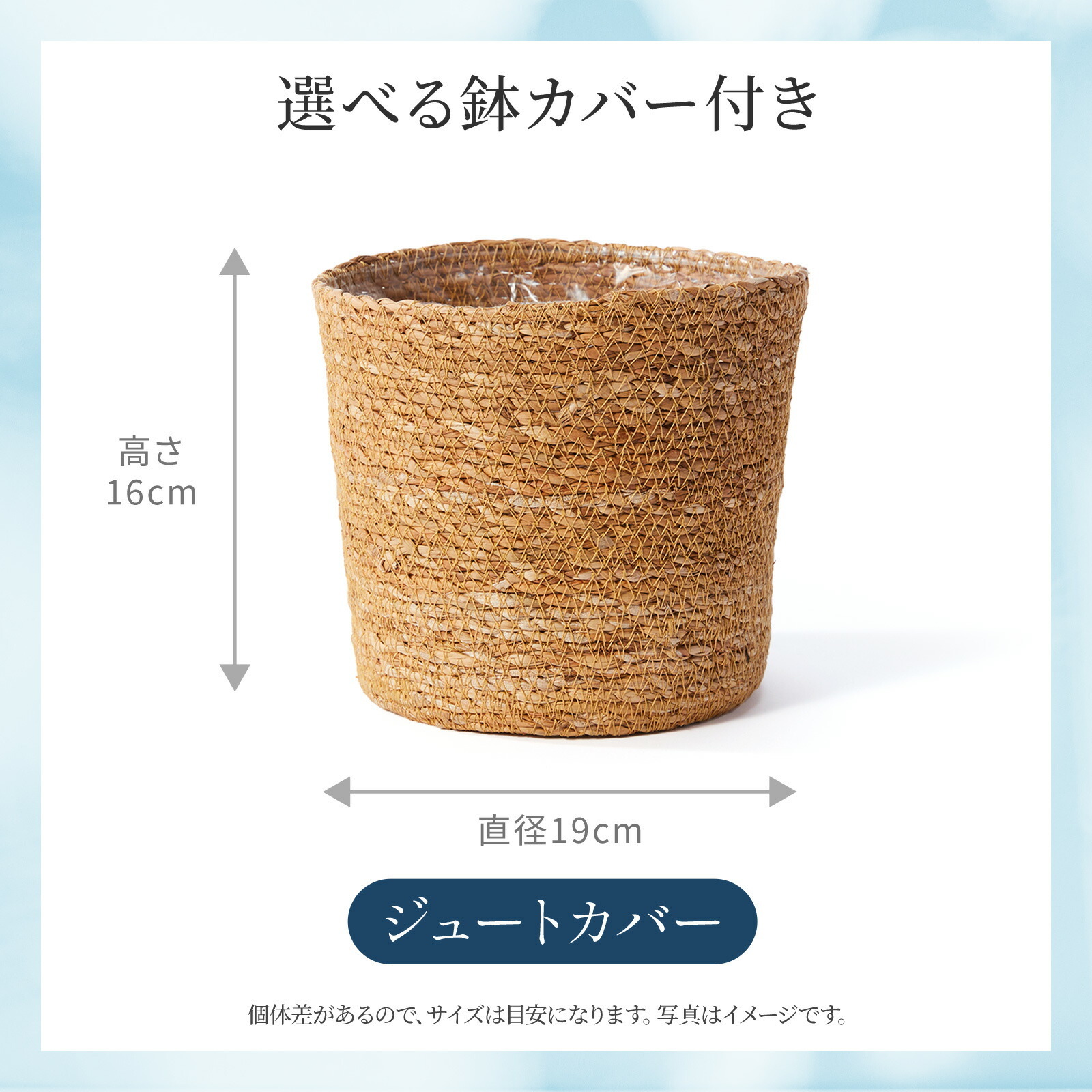 ウンベラータ5号 ジュートカバー