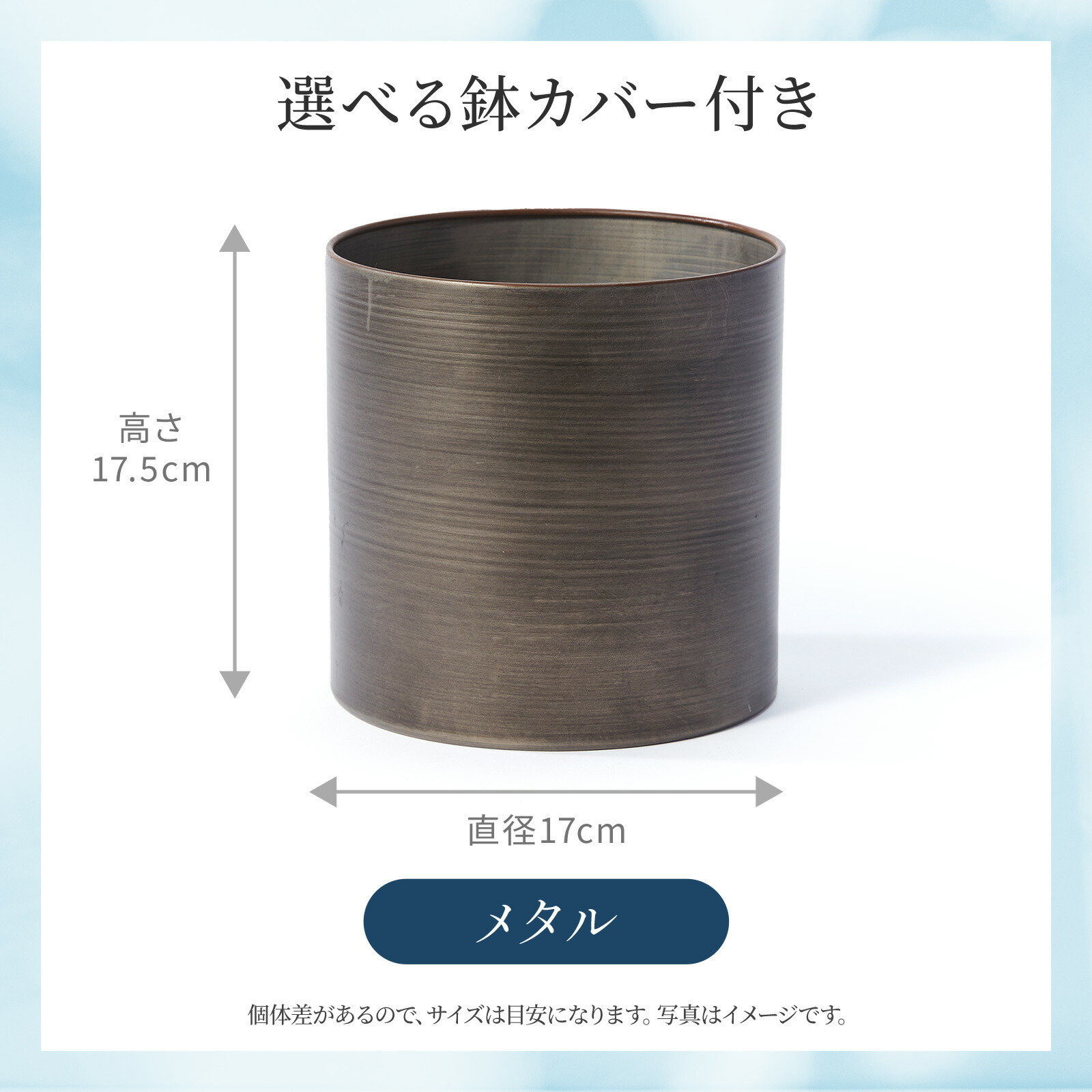 ウンベラータ5号 メタル鉢