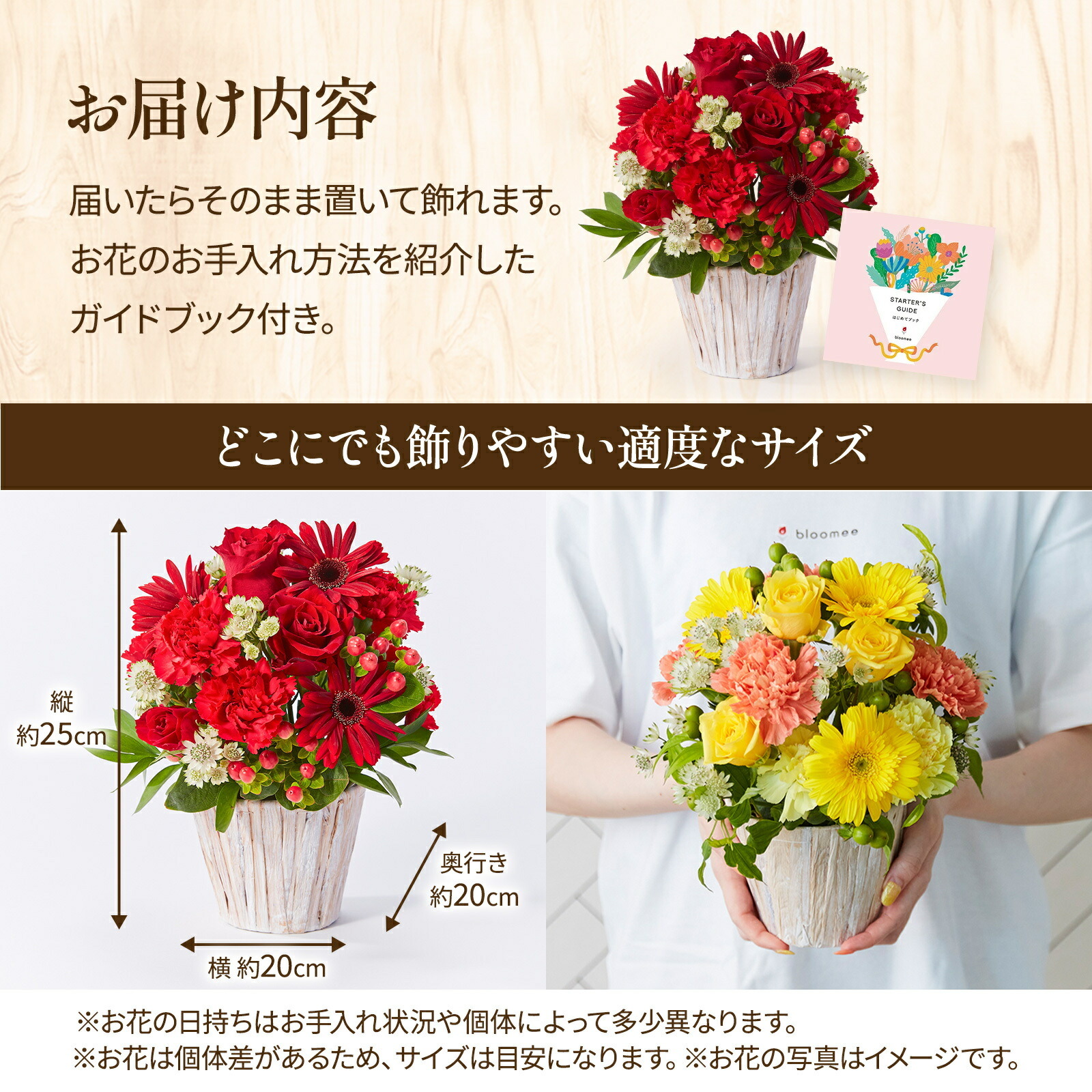 アレンジメント(赤) Mサイズ Happy Birthday カード付き