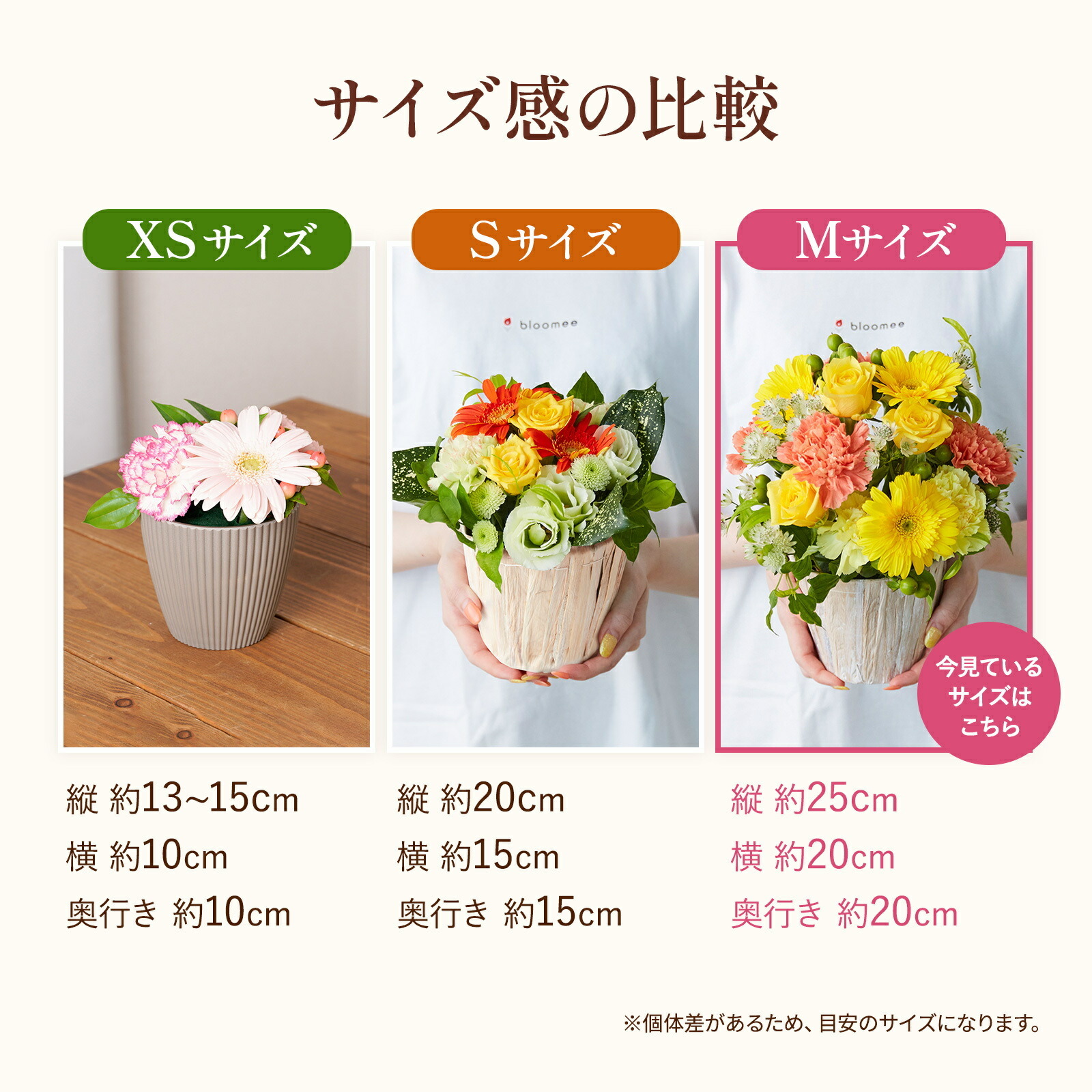 アレンジメント(カラフル) Mサイズ Happy Birthday カード付き
